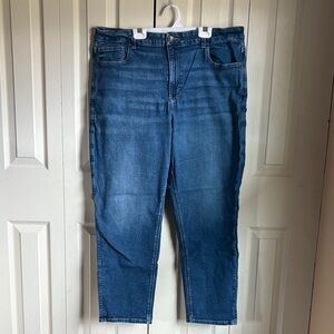 American Eagle Outfitters Curvy Mom Jeans